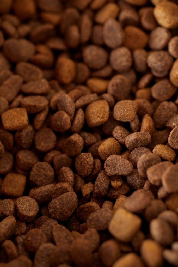 Featured Image 7 683x1024